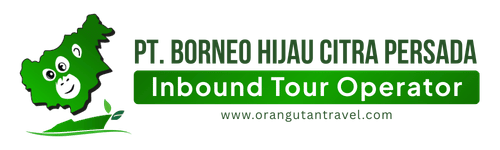 Orangutan Travel | Orangutan Tour Tanjung Puting & River Cruise