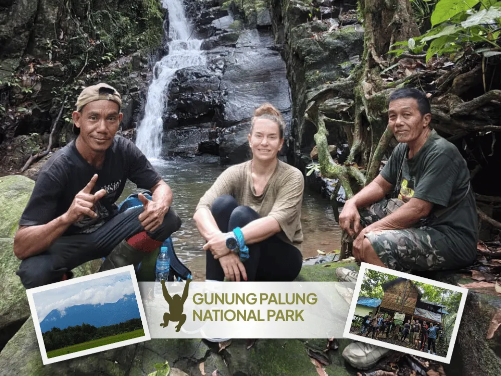Gunung Palung & Wild Orangutan Explore