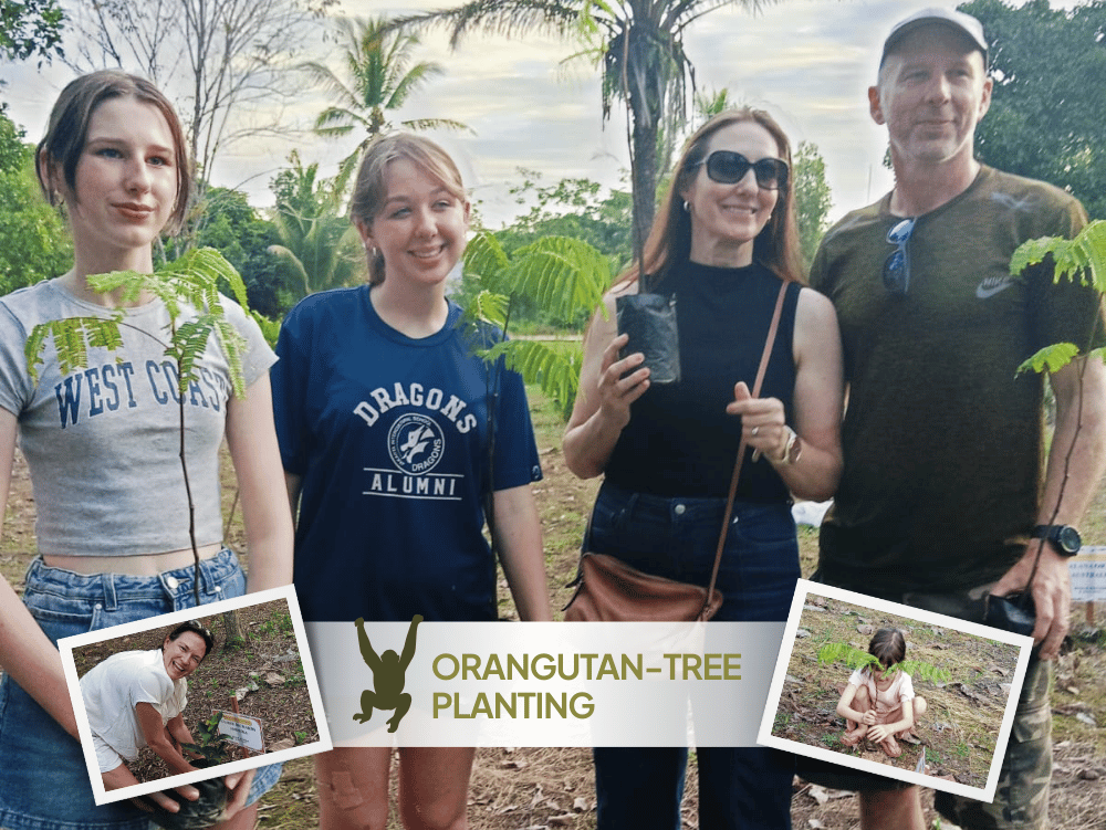 Orangutan tour & tree planting tanjung putting 5 day