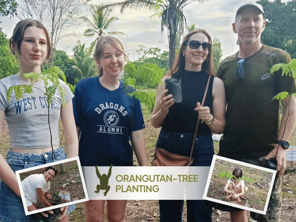 Orangutan tour & tree planting tanjung putting 5 day