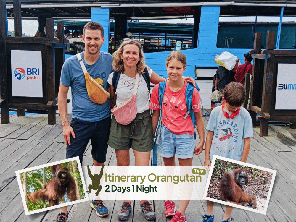 Orangutan tour  tanjung putting 2 days