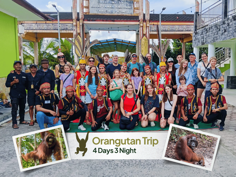 Orangutan tour tanjung putting 4 days